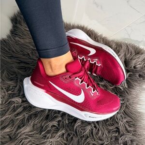 Nike Air Zoom Pegasus 41 TB